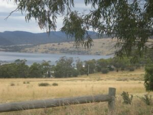 Scopri di più sull'articolo Tasmania parte 2