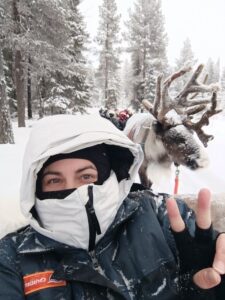 Scopri di più sull'articolo Incontrare le renne in Lapponia