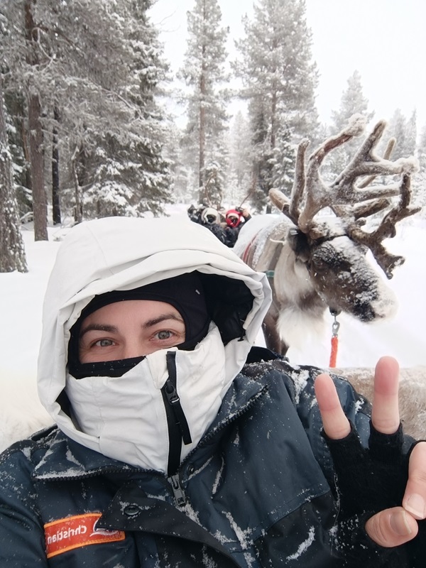 Al momento stai visualizzando Incontrare le renne in Lapponia