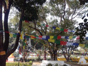 Scopri di più sull'articolo Bandiere tibetane