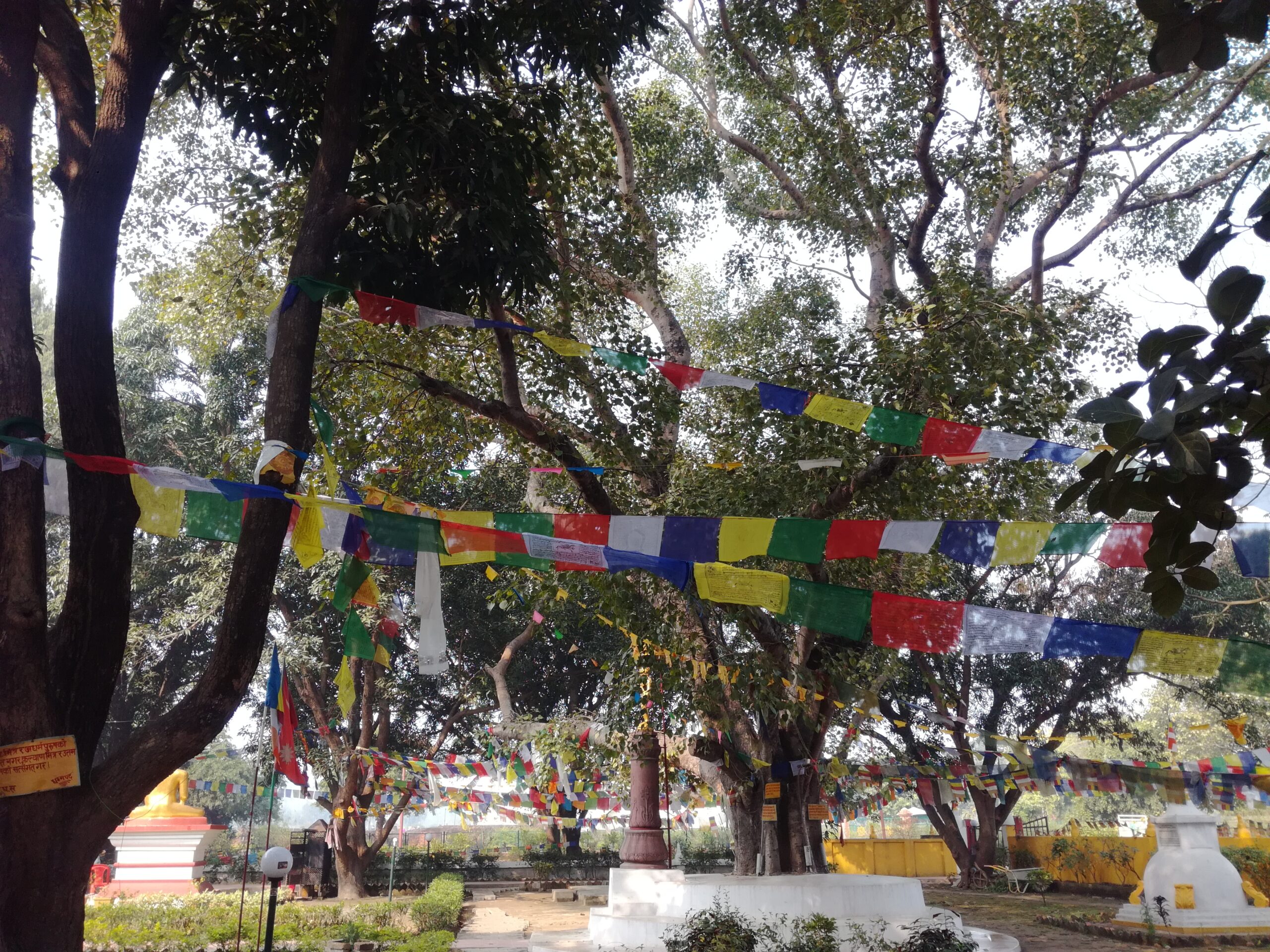Al momento stai visualizzando Bandiere tibetane